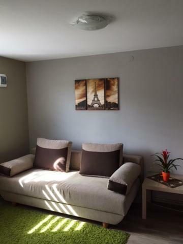 Apartament U Dzieciola Zwierzyniec Zewnętrze zdjęcie